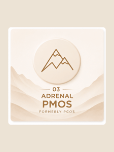 Minimalist infographic illustrating Adrenal PMOS (formerly PCOS), a subtype associated with elevated adrenal androgens, stress response, and DHEA-S production.