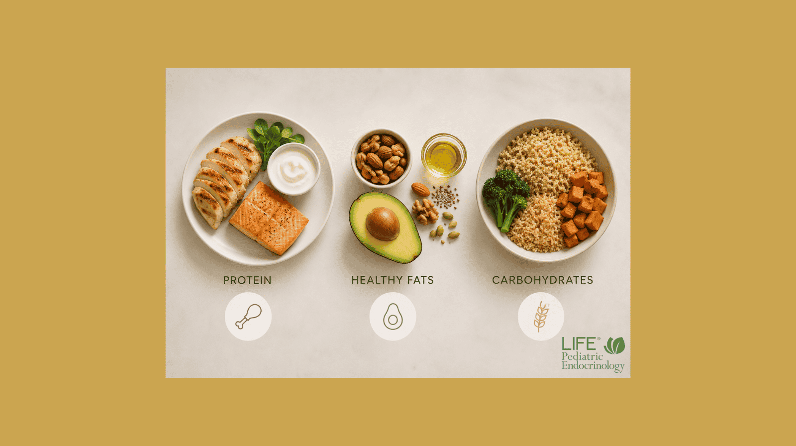 Minimalist illustration of protein, healthy fats, and carbohydrates showing balanced macronutrients for children to support healthy growth and metabolic health.