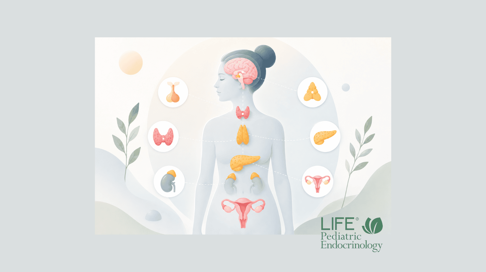 Minimal medical illustration of the human endocrine system representing the characteristic facial features and endocrine involvement in children with Prader-Willi syndrome, including hormone regulation, growth, puberty, thyroid function, obesity, and metabolic health.