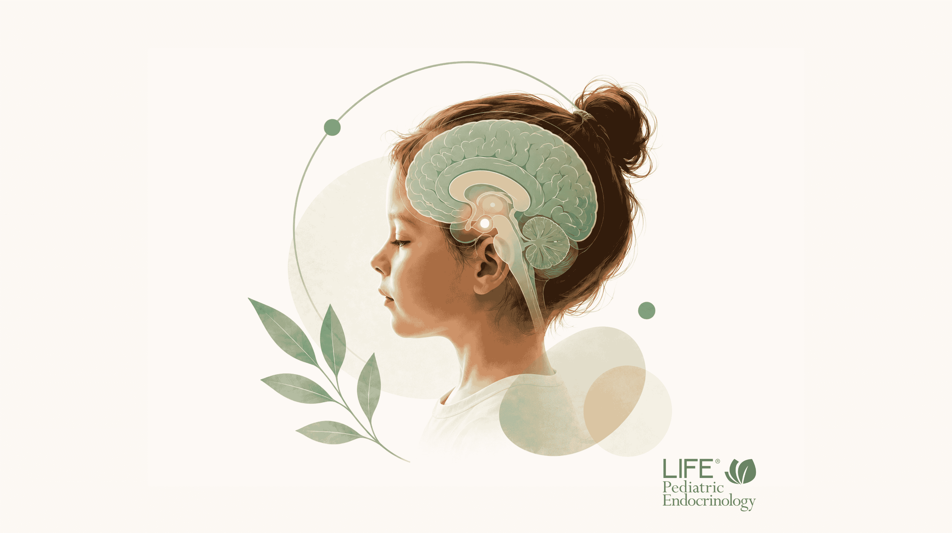 Illustration of hypothalamic obesity showing the hypothalamus, the part of the brain that regulates hunger, metabolism, and body weight.